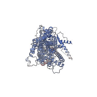 17259_8ox7_A_v1-0
Cryo-EM structure of ATP8B1-CDC50A in E2P autoinhibited "closed" conformation