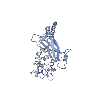 17259_8ox7_B_v1-0
Cryo-EM structure of ATP8B1-CDC50A in E2P autoinhibited "closed" conformation