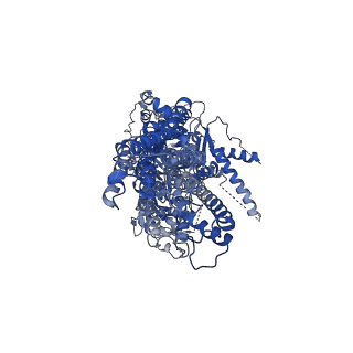 17260_8ox8_A_v1-0
Cryo-EM structure of ATP8B1-CDC50A in E2P autoinhibited "open" conformation