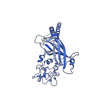 17260_8ox8_B_v1-0
Cryo-EM structure of ATP8B1-CDC50A in E2P autoinhibited "open" conformation
