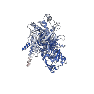 17261_8ox9_A_v1-0
Cryo-EM structure of ATP8B1-CDC50A in E2P active conformation with bound PC