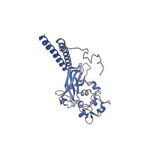 17261_8ox9_B_v1-0
Cryo-EM structure of ATP8B1-CDC50A in E2P active conformation with bound PC