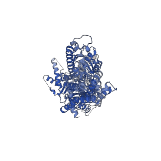 17262_8oxa_A_v1-0
Cryo-EM structure of ATP8B1-CDC50A in E2-Pi conformation with occluded PS