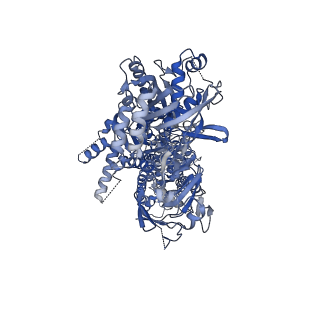 17263_8oxb_A_v1-0
Cryo-EM structure of ATP8B1-CDC50A in E2-Pi conformation with occluded PC