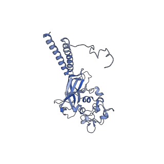 17263_8oxb_B_v1-0
Cryo-EM structure of ATP8B1-CDC50A in E2-Pi conformation with occluded PC