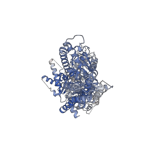 17264_8oxc_A_v1-0
Cryo-EM structure of ATP8B1-CDC50A in E2-Pi conformation with occluded PI