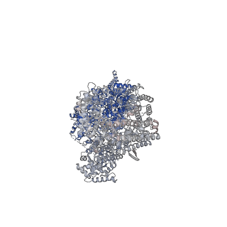 17265_8oxm_B_v1-1
ATM(Q2971A) activated by oxidative stress in complex with Mg AMP-PNP and p53 peptide
