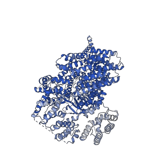 17266_8oxo_B_v1-1
ATM(Q2971A) dimeric C-terminal region activated by oxidative stress in complex with Mg AMP-PNP and p53 peptide