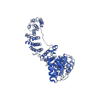 20220_6oxl_B_v1-1
CRYO-EM STRUCTURE OF PHOSPHORYLATED AP-2 (mu E302K) BOUND TO NECAP IN THE PRESENCE OF SS DNA