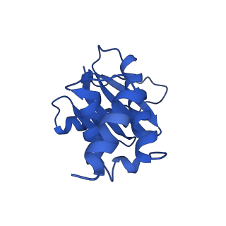 20220_6oxl_S_v1-1
CRYO-EM STRUCTURE OF PHOSPHORYLATED AP-2 (mu E302K) BOUND TO NECAP IN THE PRESENCE OF SS DNA