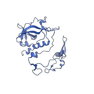 13110_7oy8_H_v1-0
Cryo-EM structure of the Rhodospirillum rubrum RC-LH1 complex