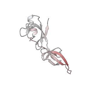 13111_7oya_11_v1-3
Cryo-EM structure of the 1 hpf zebrafish embryo 80S ribosome