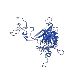 13111_7oya_B1_v1-3
Cryo-EM structure of the 1 hpf zebrafish embryo 80S ribosome