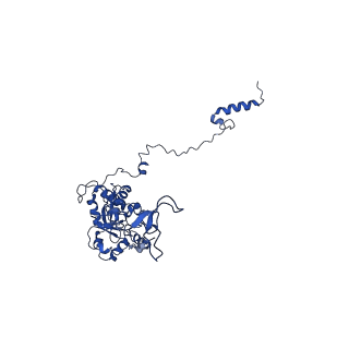 13111_7oya_C1_v1-3
Cryo-EM structure of the 1 hpf zebrafish embryo 80S ribosome