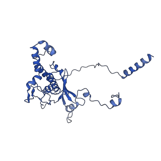 13111_7oya_D1_v1-3
Cryo-EM structure of the 1 hpf zebrafish embryo 80S ribosome