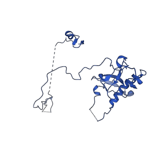 13111_7oya_E1_v1-3
Cryo-EM structure of the 1 hpf zebrafish embryo 80S ribosome
