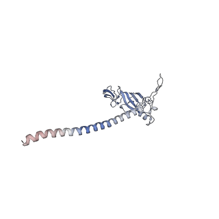 13111_7oya_G2_v1-3
Cryo-EM structure of the 1 hpf zebrafish embryo 80S ribosome