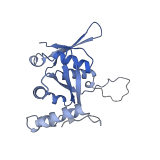 13111_7oya_H2_v1-3
Cryo-EM structure of the 1 hpf zebrafish embryo 80S ribosome