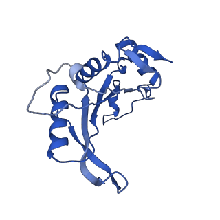 13111_7oya_J1_v1-3
Cryo-EM structure of the 1 hpf zebrafish embryo 80S ribosome