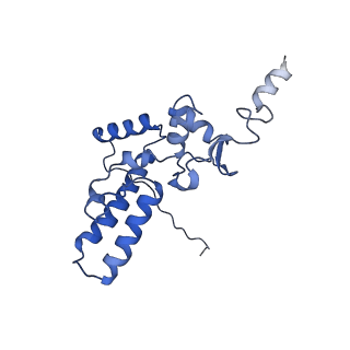 13111_7oya_J2_v1-3
Cryo-EM structure of the 1 hpf zebrafish embryo 80S ribosome