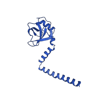 13111_7oya_M1_v1-3
Cryo-EM structure of the 1 hpf zebrafish embryo 80S ribosome