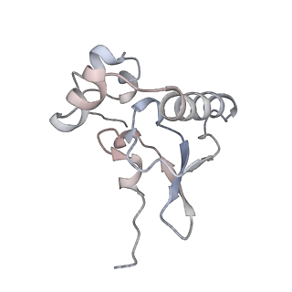 13111_7oya_P2_v1-3
Cryo-EM structure of the 1 hpf zebrafish embryo 80S ribosome