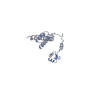 13111_7oya_R1_v1-3
Cryo-EM structure of the 1 hpf zebrafish embryo 80S ribosome