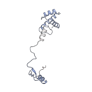 13111_7oya_R2_v1-3
Cryo-EM structure of the 1 hpf zebrafish embryo 80S ribosome