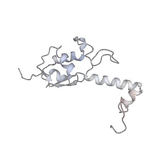 13111_7oya_S2_v1-3
Cryo-EM structure of the 1 hpf zebrafish embryo 80S ribosome