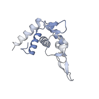 13111_7oya_T2_v1-3
Cryo-EM structure of the 1 hpf zebrafish embryo 80S ribosome