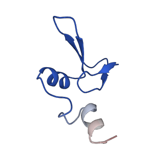 13111_7oya_W1_v1-3
Cryo-EM structure of the 1 hpf zebrafish embryo 80S ribosome