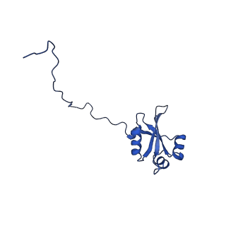 13111_7oya_X1_v1-3
Cryo-EM structure of the 1 hpf zebrafish embryo 80S ribosome