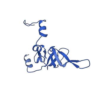 13111_7oya_Y1_v1-3
Cryo-EM structure of the 1 hpf zebrafish embryo 80S ribosome