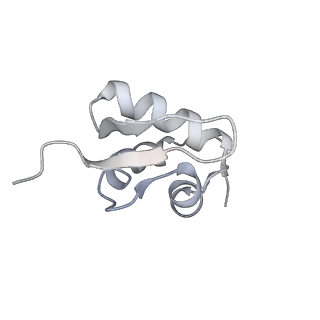 13111_7oya_Z2_v1-3
Cryo-EM structure of the 1 hpf zebrafish embryo 80S ribosome