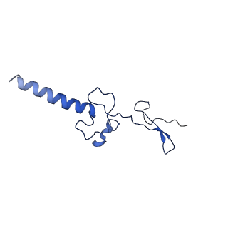 13111_7oya_g1_v1-3
Cryo-EM structure of the 1 hpf zebrafish embryo 80S ribosome