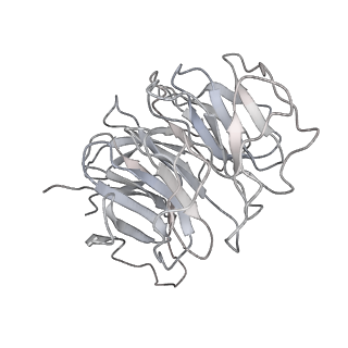 13111_7oya_g2_v1-3
Cryo-EM structure of the 1 hpf zebrafish embryo 80S ribosome
