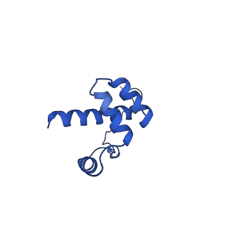 13111_7oya_i1_v1-3
Cryo-EM structure of the 1 hpf zebrafish embryo 80S ribosome