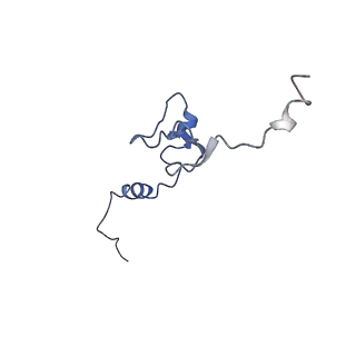 13111_7oya_j1_v1-3
Cryo-EM structure of the 1 hpf zebrafish embryo 80S ribosome