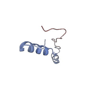 13111_7oya_l1_v1-3
Cryo-EM structure of the 1 hpf zebrafish embryo 80S ribosome