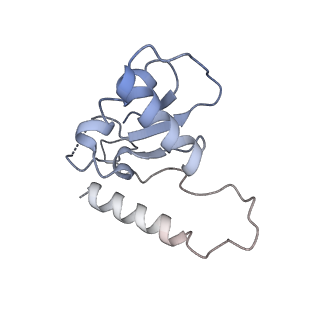 13111_7oya_q1_v1-3
Cryo-EM structure of the 1 hpf zebrafish embryo 80S ribosome