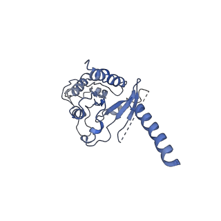 20222_6oy9_A_v1-3
Structure of the Rhodopsin-Transducin Complex