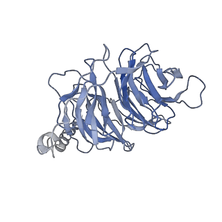 20222_6oy9_B_v1-3
Structure of the Rhodopsin-Transducin Complex