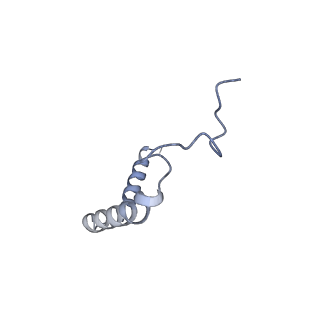 20222_6oy9_G_v1-3
Structure of the Rhodopsin-Transducin Complex