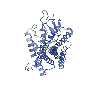 20222_6oy9_R_v1-3
Structure of the Rhodopsin-Transducin Complex