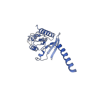 20223_6oya_A_v1-3
Structure of the Rhodopsin-Transducin-Nanobody Complex