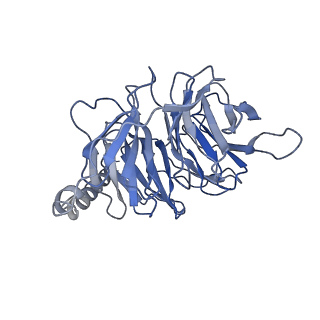 20223_6oya_B_v1-3
Structure of the Rhodopsin-Transducin-Nanobody Complex
