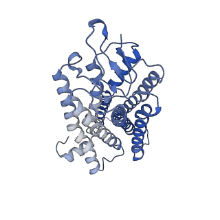 20223_6oya_R_v1-3
Structure of the Rhodopsin-Transducin-Nanobody Complex