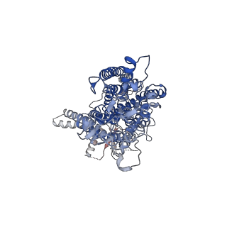 3861_5oyg_A_v1-5
Structure of calcium-free mTMEM16A chloride channel at 4.06 A resolution