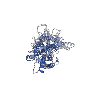 3861_5oyg_B_v1-5
Structure of calcium-free mTMEM16A chloride channel at 4.06 A resolution
