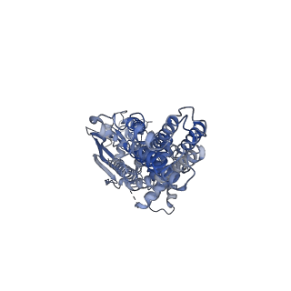 13118_7oz1_A_v1-0
Cryo-EM structure of ABCG1 E242Q mutant with ATP and cholesteryl hemisuccinate bound